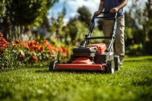 Seasonal Lawn Care Experts