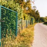 Chain Link Fences