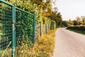Chain Link Fences