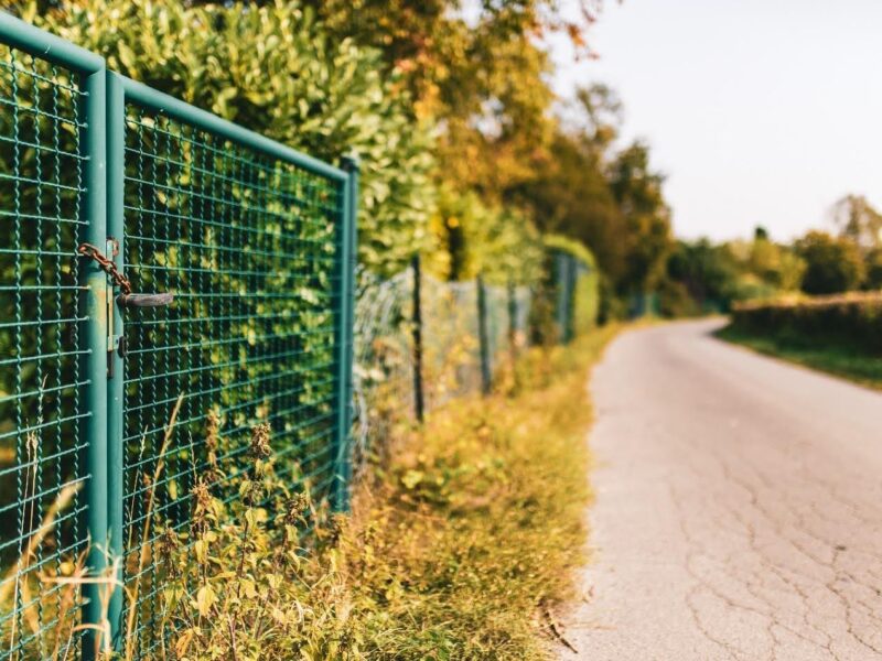 Chain Link Fences