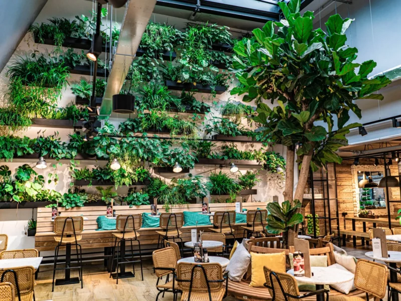 Design Cafe