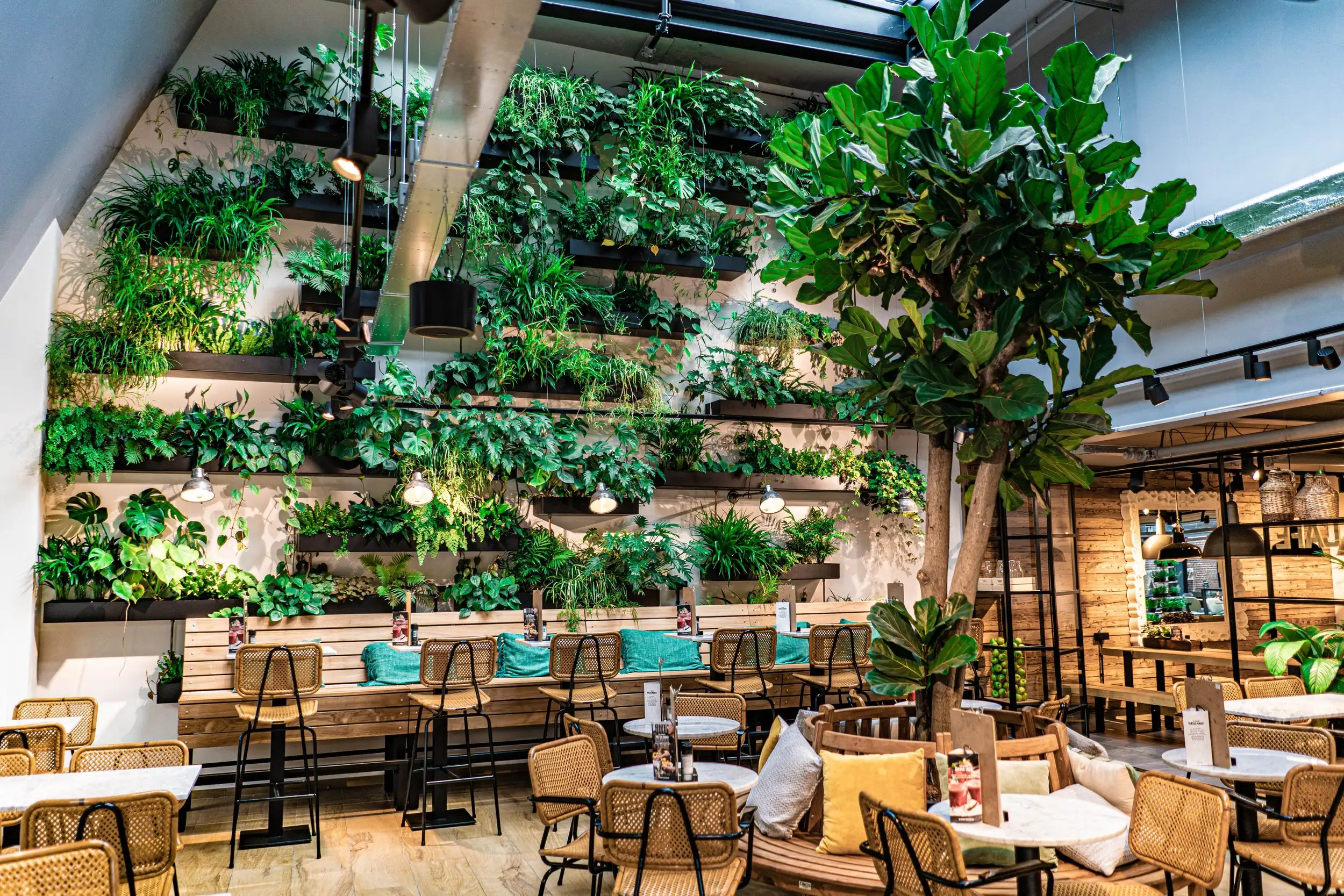 Design Cafe